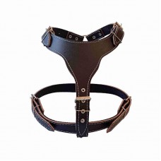 9270 - PEITORAL COURO S/CRAVO PIT BULL PRETO