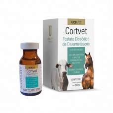 9767 - CORTVET ANTIFLAMATORIO INJETAVEL 10ML