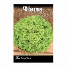 10930 - SEMENTE ALFACE MONICA CRESPA 700MG C/25