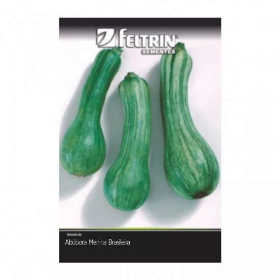 SEMENTE ABOBORA MENINA BRAS PREC 2G C/25