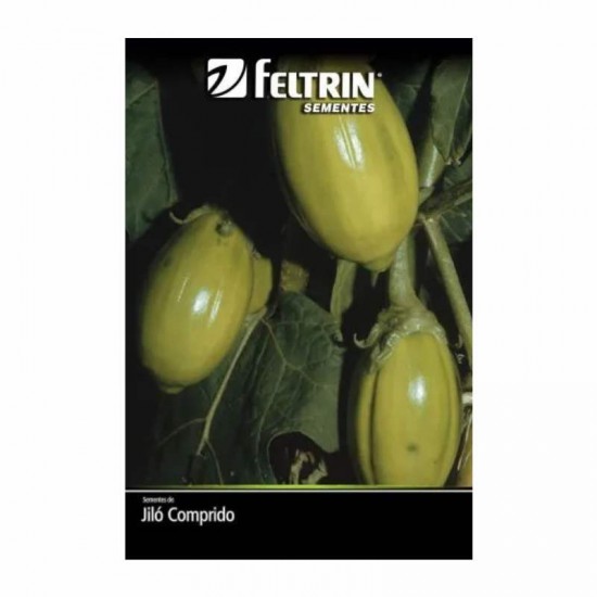 SEMENTE JILO COMPRIDO GRANDE 400MG C/25