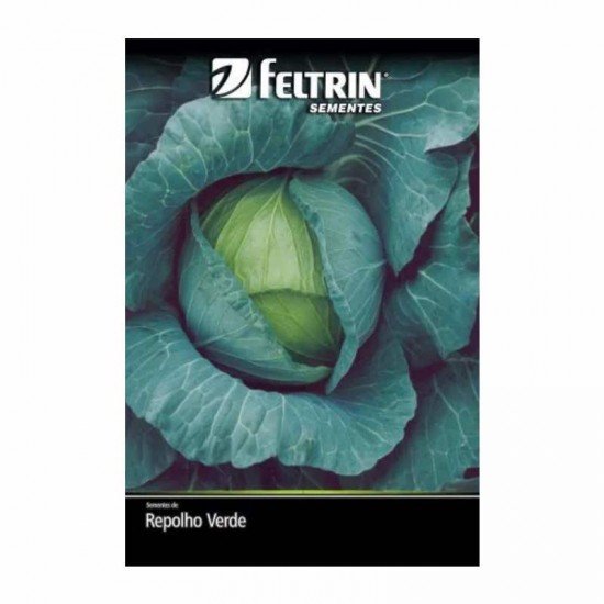 SEMENTE REPOLHO 60 DIAS VERDE 500MG C/25
