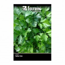 10941 - SEMENTE SALSA LISA 900MG C/25