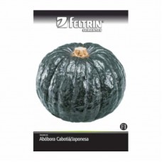 10951 - SEMENTE ABOBORA HIROKO CABOTI 550MG C/25