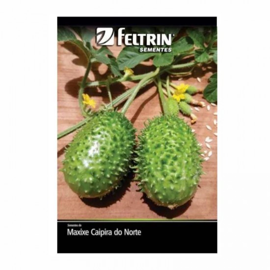 SEMENTE MAXIXE DO NORTE 1G C/25
