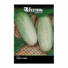 11335 - SEMENTE PEPINO ESMERALDA CAIPIRA 1G C/25