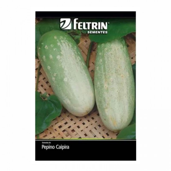SEMENTE PEPINO ESMERALDA CAIPIRA 1G C/25