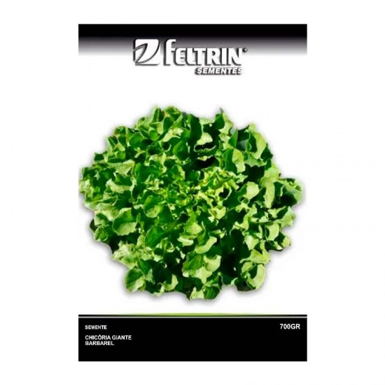 SEMENTE CHICORIA GIG BARBAREL 700MG C/25