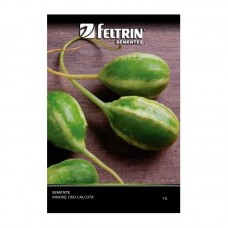 11467 - SEMENTE MAXIXE LISO CALCUTA 1G C/25