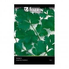 11469 - SEMENTE COENTRO PACIFICO 1,6G C/25