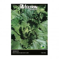 11472 - SEMENTE MOSTARDA LISA DA FLOR 700MG C/25