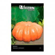 11471 - SEMENTE MORANGA EXPOSICAO 2G C/25