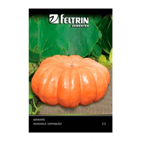 SEMENTE MORANGA EXPOSICAO 2G C/25