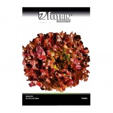 11468 - SEMENTE ALFACE BETANIA 700MG C/25