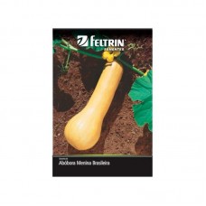 12256 - SEMENTE ABOBORA MENINA BRASILEIR 2G C/25