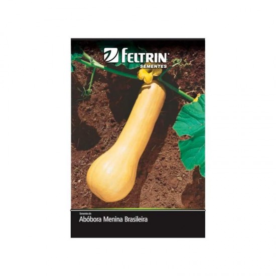 SEMENTE ABOBORA MENINA BRASILEIR 2G C/25