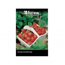 12918 - SEMENTE MORANGO VERMELHO RUGE 50MG C/20
