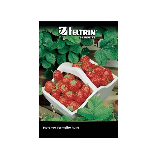 SEMENTE MORANGO VERMELHO RUGE 50MG C/20