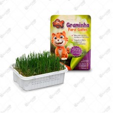 9087 - GRAMINHA GATOS 60G