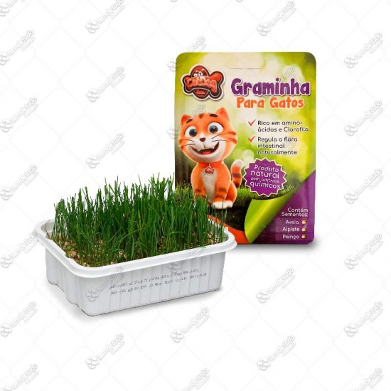 GRAMINHA GATOS 60G