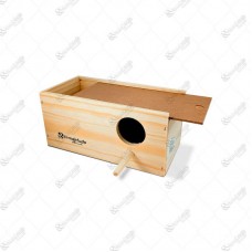 8630 - NINHO MADEIRA AGAPORNIS