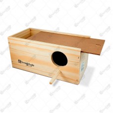 8631 - NINHO MADEIRA CALOPSITA