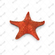 15384 - ENFEITE AQUARIO ESTRELA MARINHA M