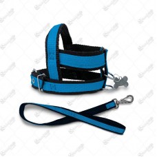 15749 - PEITORAL C/GUIA NYLON DUPLO N01 PT/AZUL