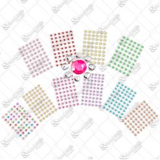 17901 - KIT ADESIVO PET FLOR G COLOR C/12 