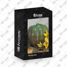 20034 - SEMENTE MORANGA COROA 2G C/25