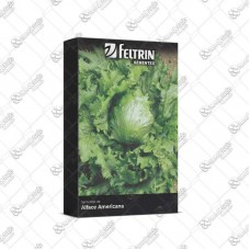 20195 - SEMENTE ALFACE AMERICANA RAFA 700MG C/25