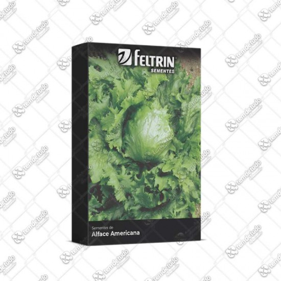 SEMENTE ALFACE AMERICANA RAFA 700MG C/25
