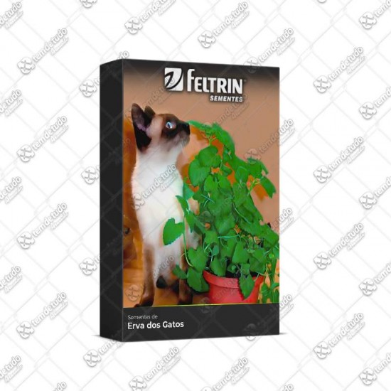 SEMENTE ERVA DOS GATOS 100MG C/20