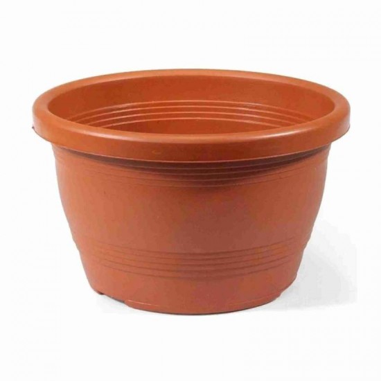 CUIA 18 VENEZA COLOR